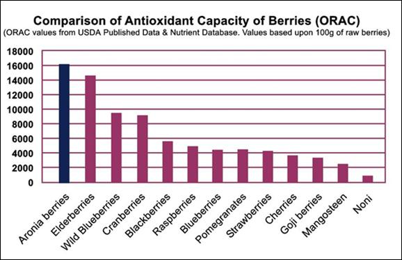 Health Benefits Aronia Berries